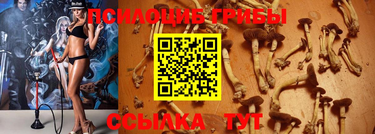 Псилоцибиновые грибы MAGIC MUSHROOMS  Верхний Уфалей 