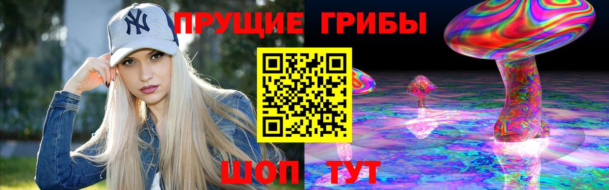 Верхний Уфалей  Псилоцибиновые грибы прущие грибы  Вход с VPN 